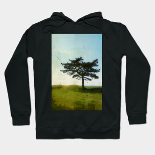 A Tree at the Somme Hoodie